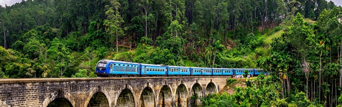 Travel Booking Trends